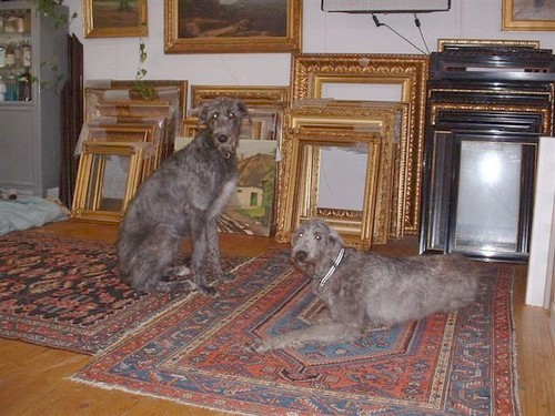Antike Rahmen mit Hunden
